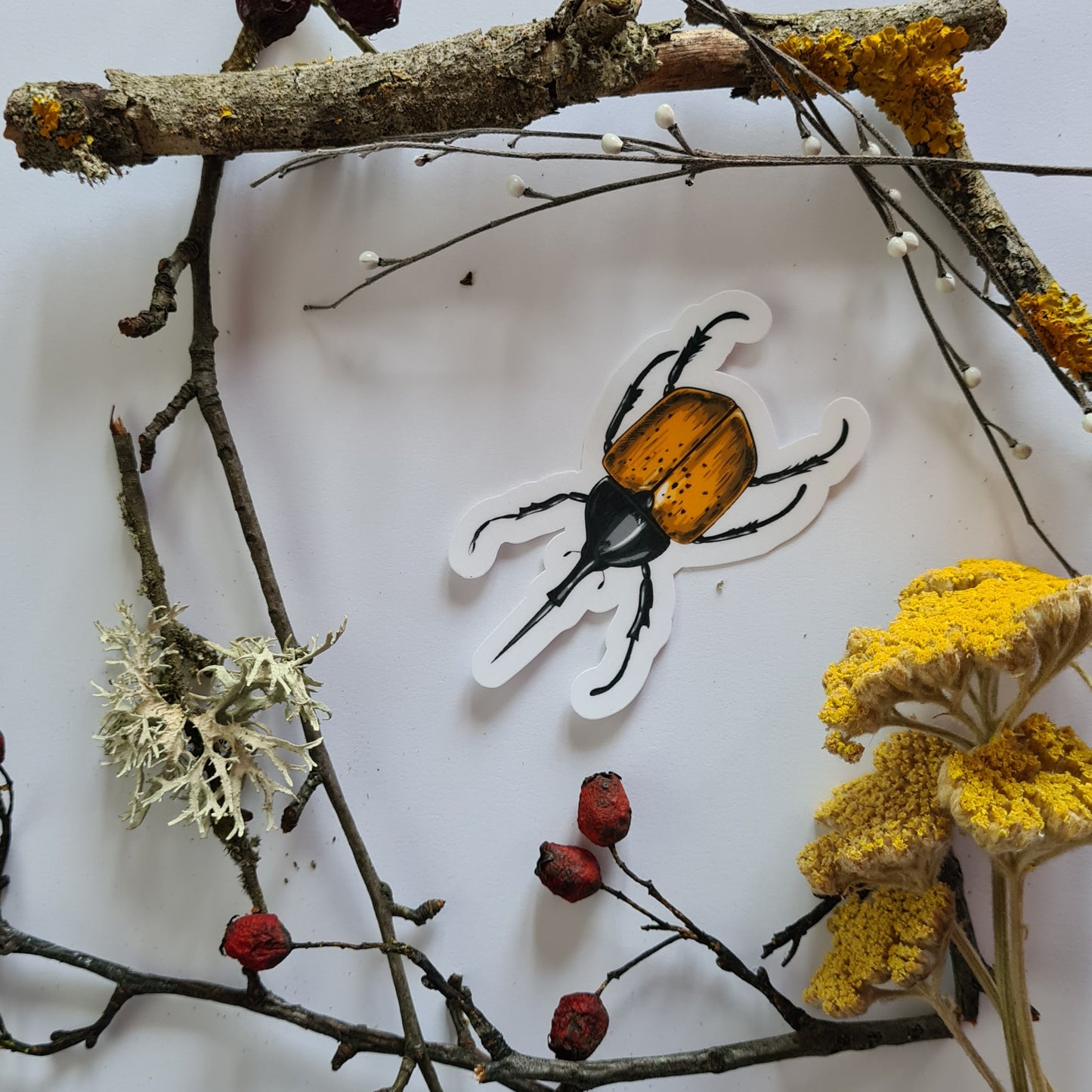 Beetles journal stickers - katerinamitkova