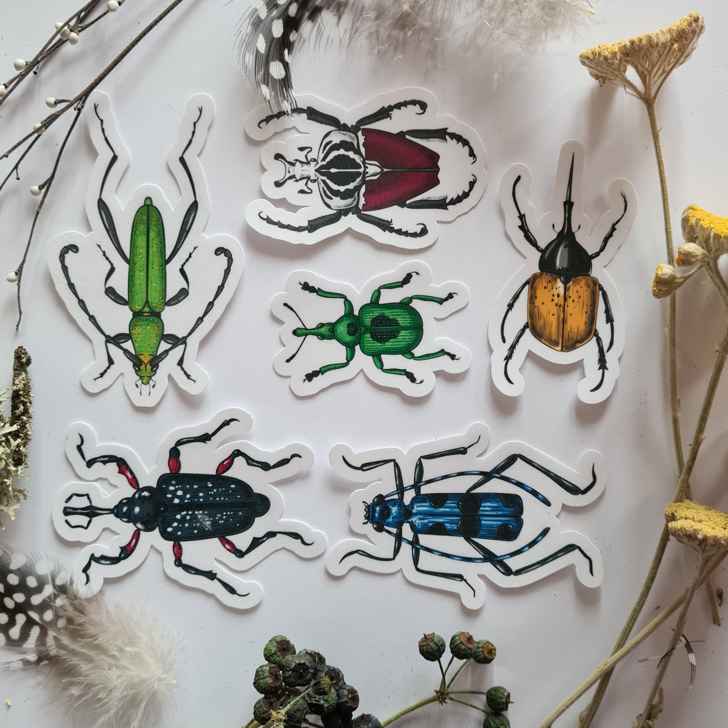 Beetles journal stickers - katerinamitkova
