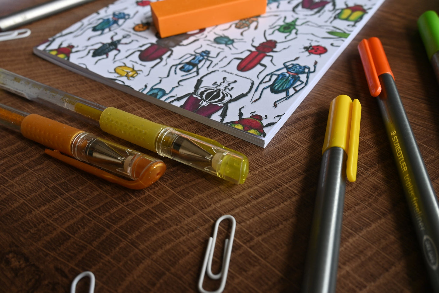 Beetles Notebook - katerinamitkova