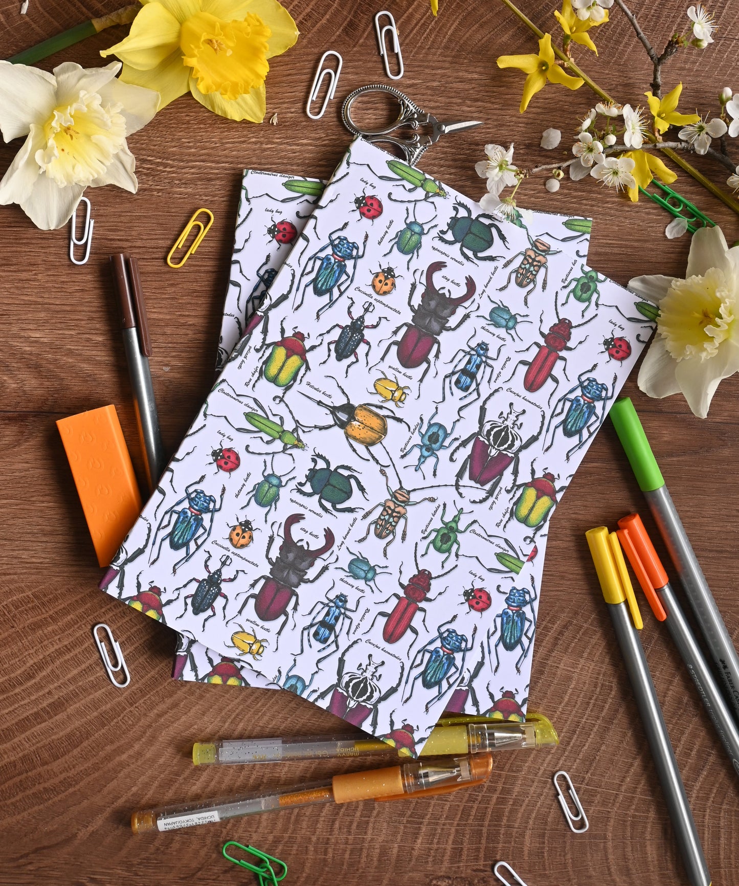 Beetles Notebook - katerinamitkova