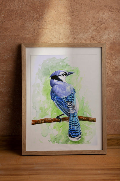 Blue jay original watercolor painting - katerinamitkova
