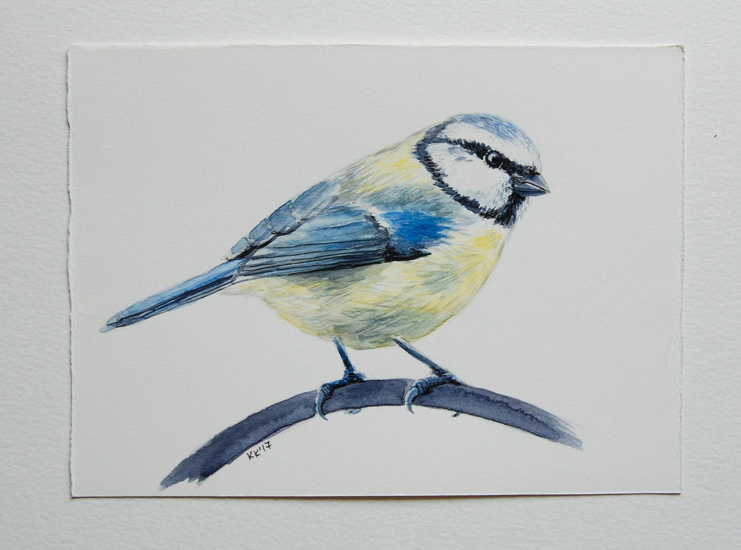 Blue tit bird watercolor painting - katerinamitkova