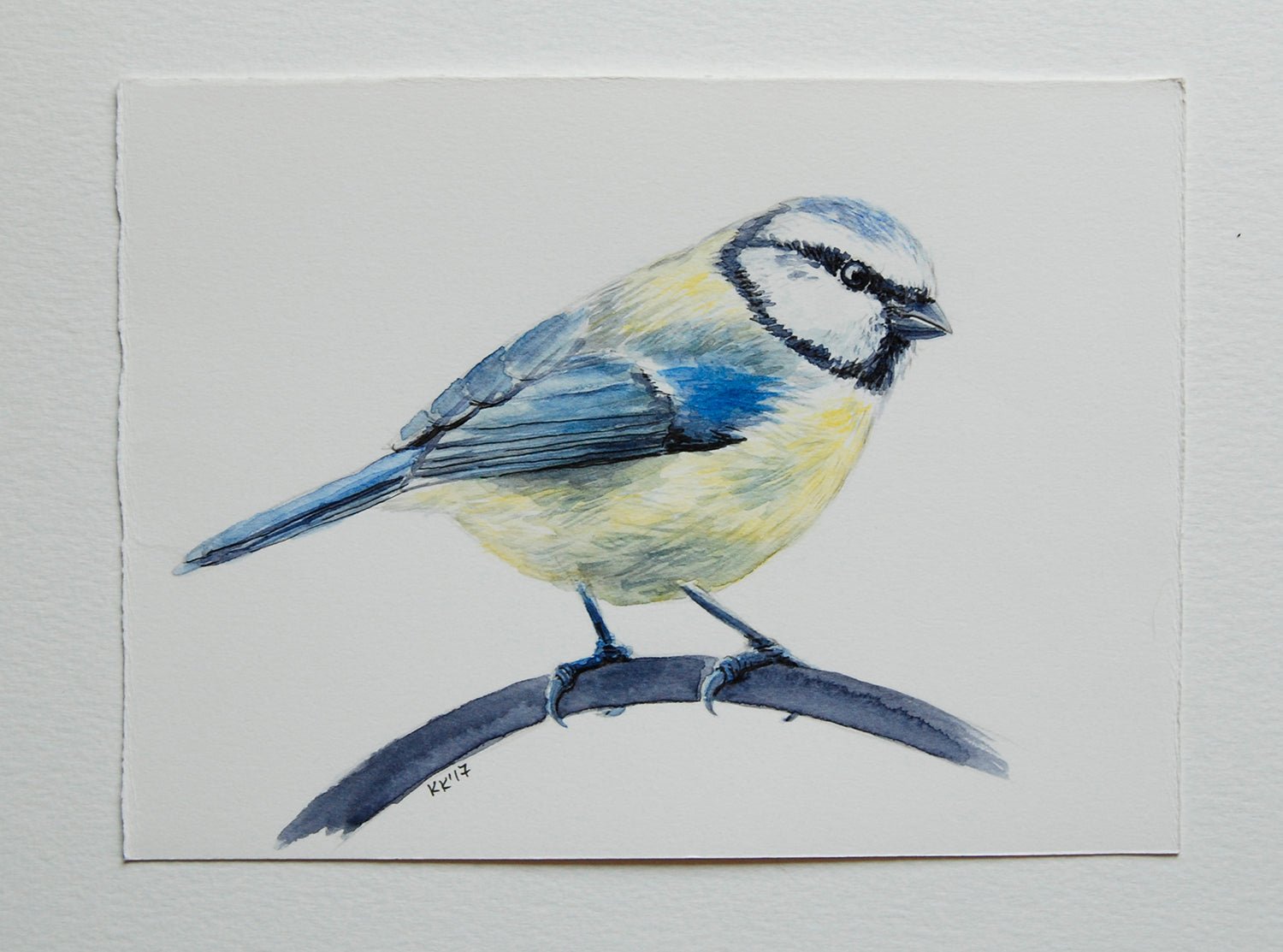 Blue tit bird watercolor painting - katerinamitkova