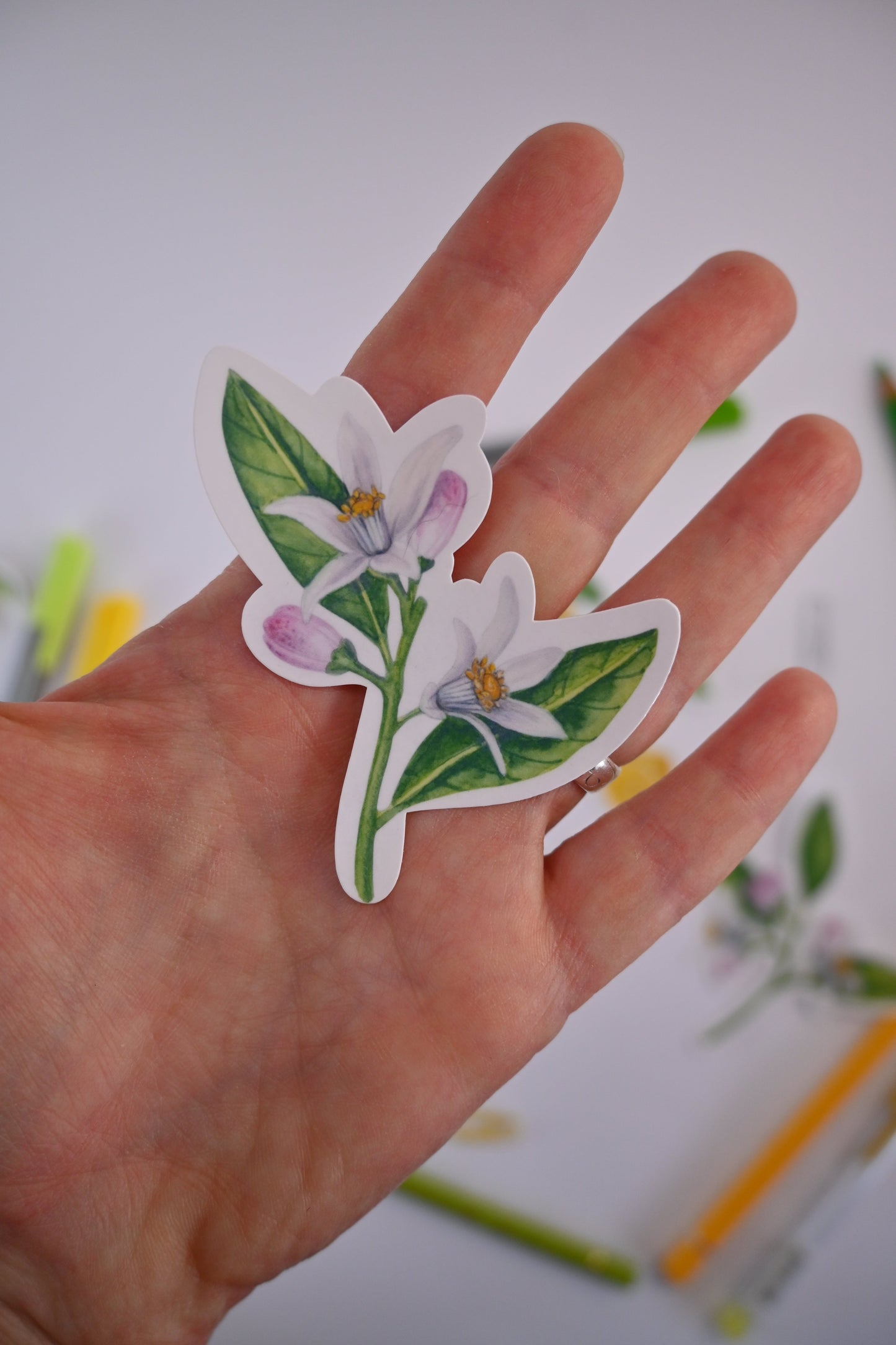 Branches with Lemons and blooms stickers - katerinamitkova