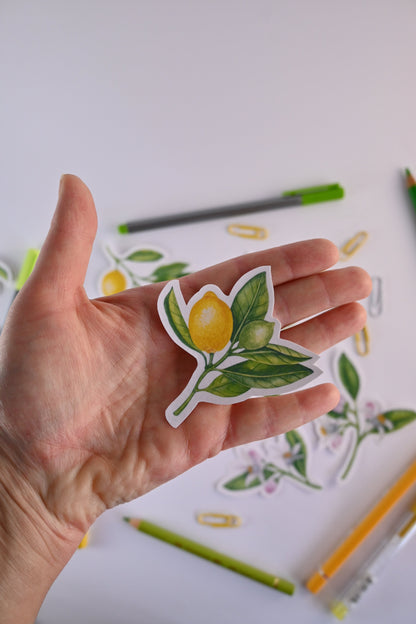 Branches with Lemons and blooms stickers - katerinamitkova
