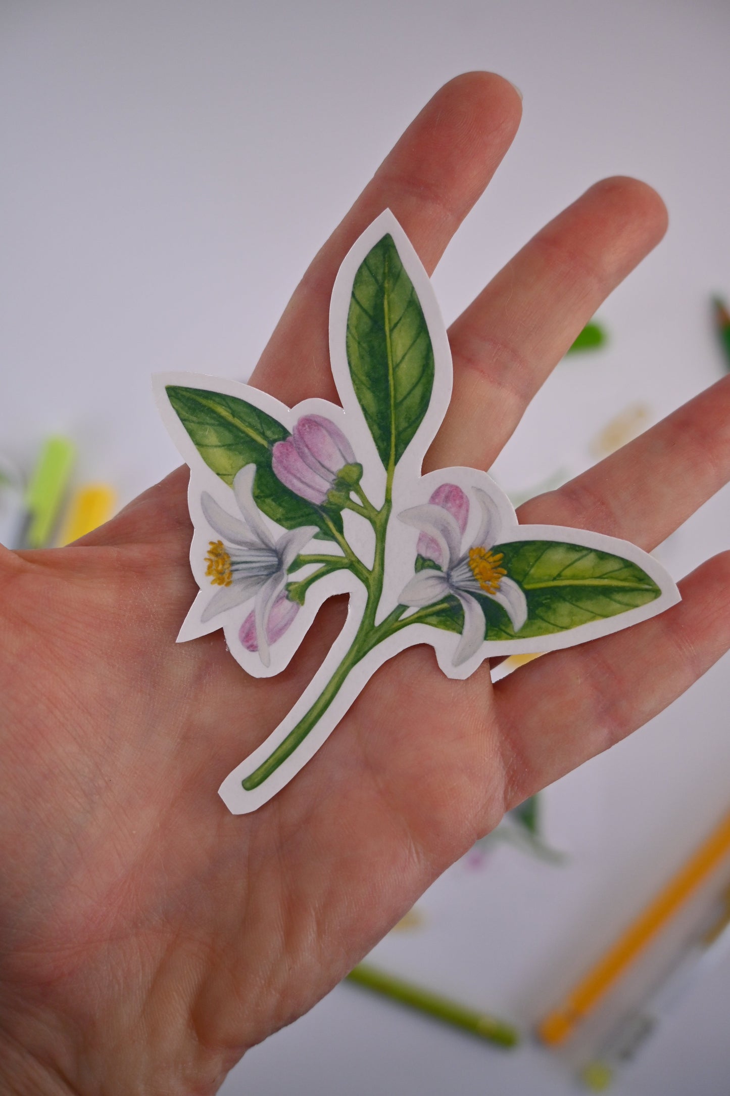 Branches with Lemons and blooms stickers - katerinamitkova
