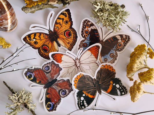 Butterfly stickers, set 1 - katerinamitkova
