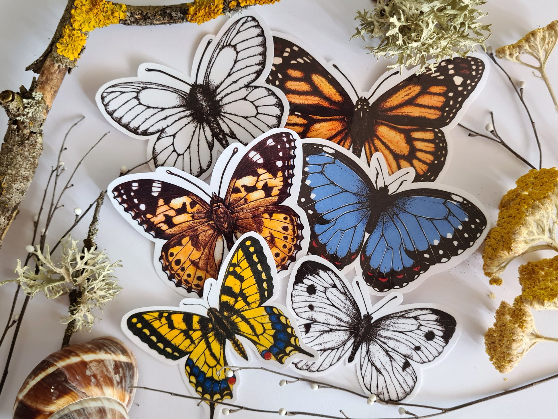 Butterfly stickers, set 2 - katerinamitkova