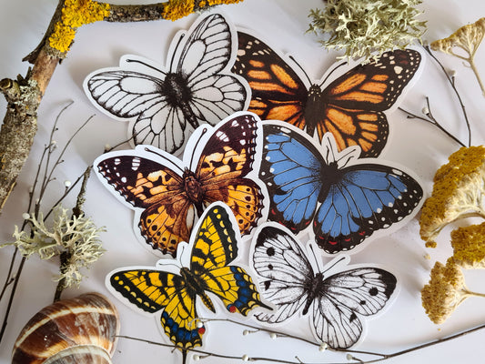 Butterfly stickers, set 2 - katerinamitkova