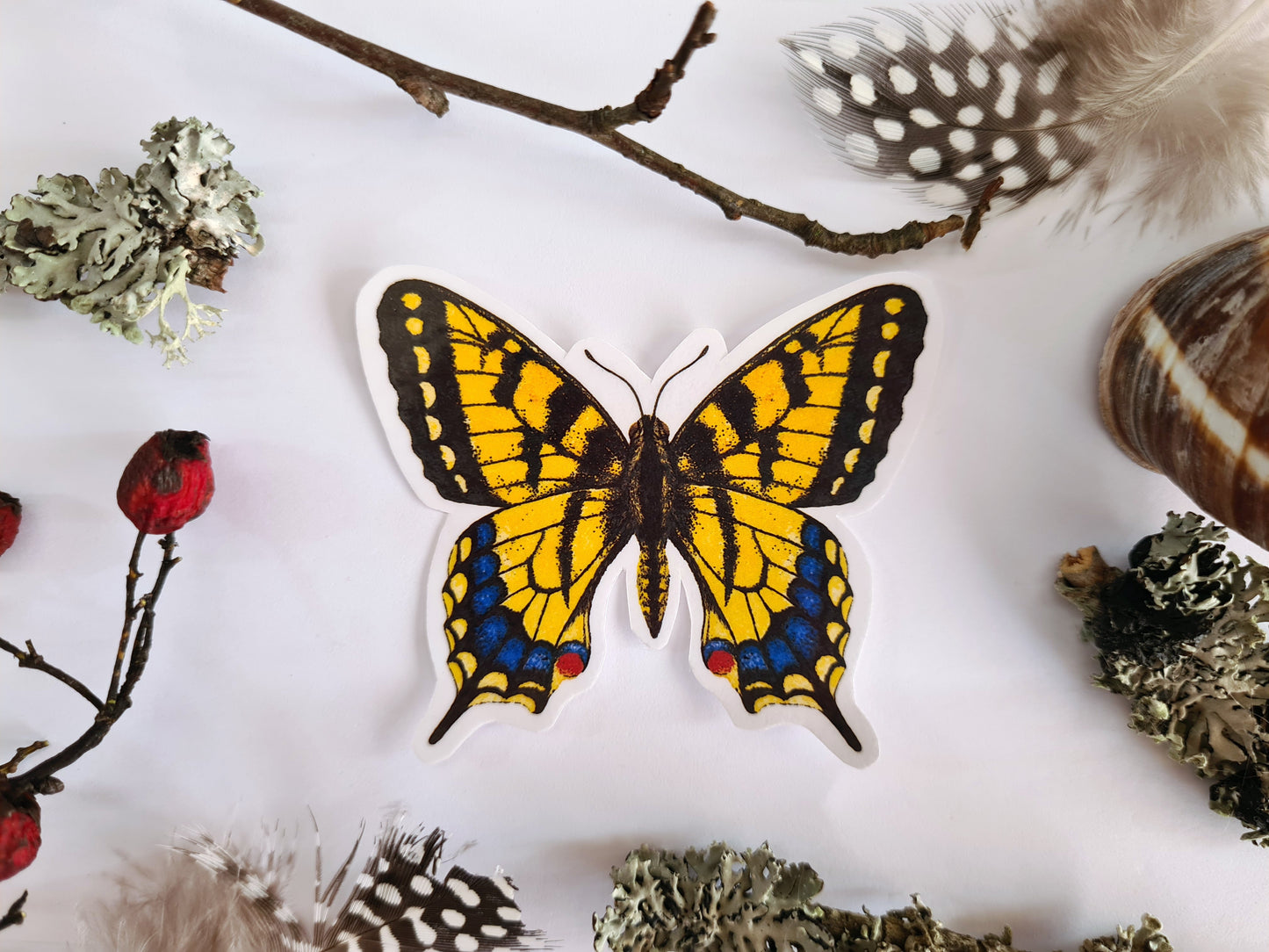 Butterfly stickers, set 2 - katerinamitkova