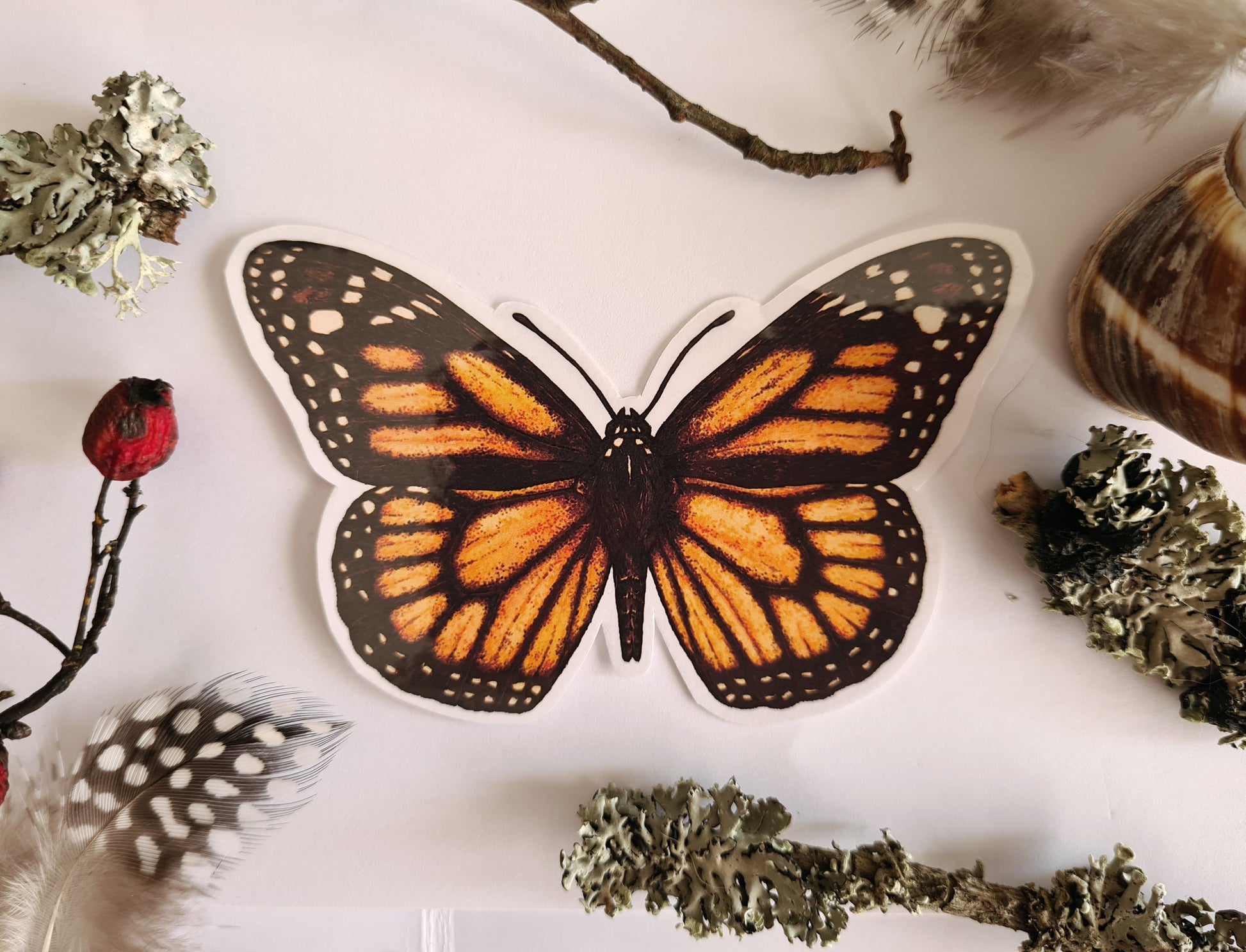 Butterfly stickers, set 2 - katerinamitkova