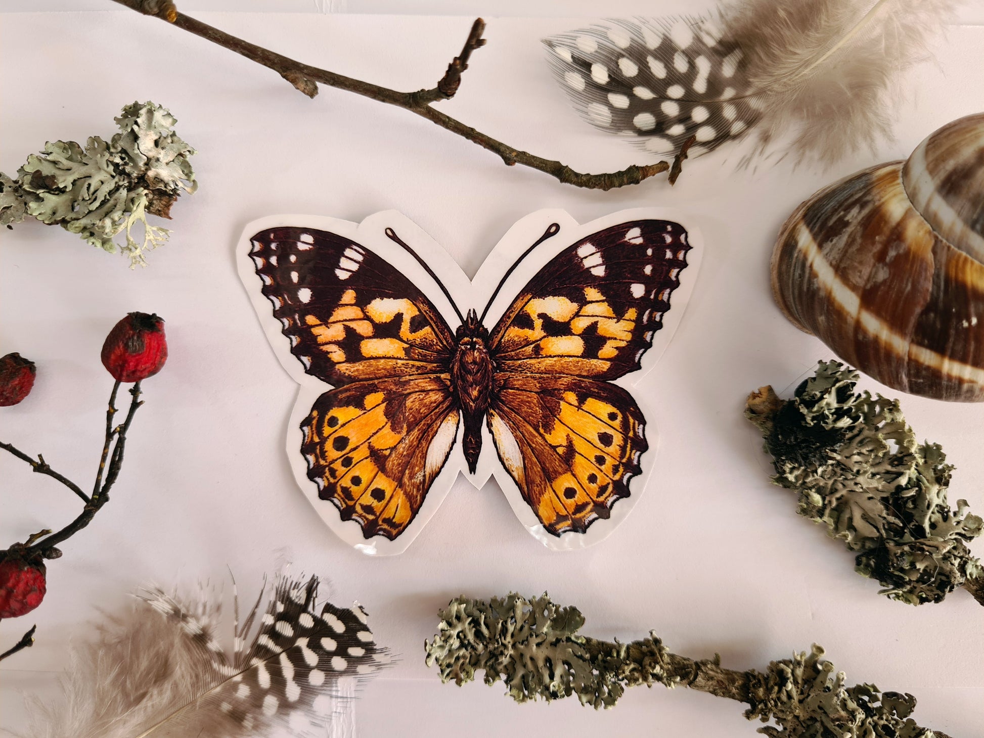 Butterfly stickers, set 2 - katerinamitkova