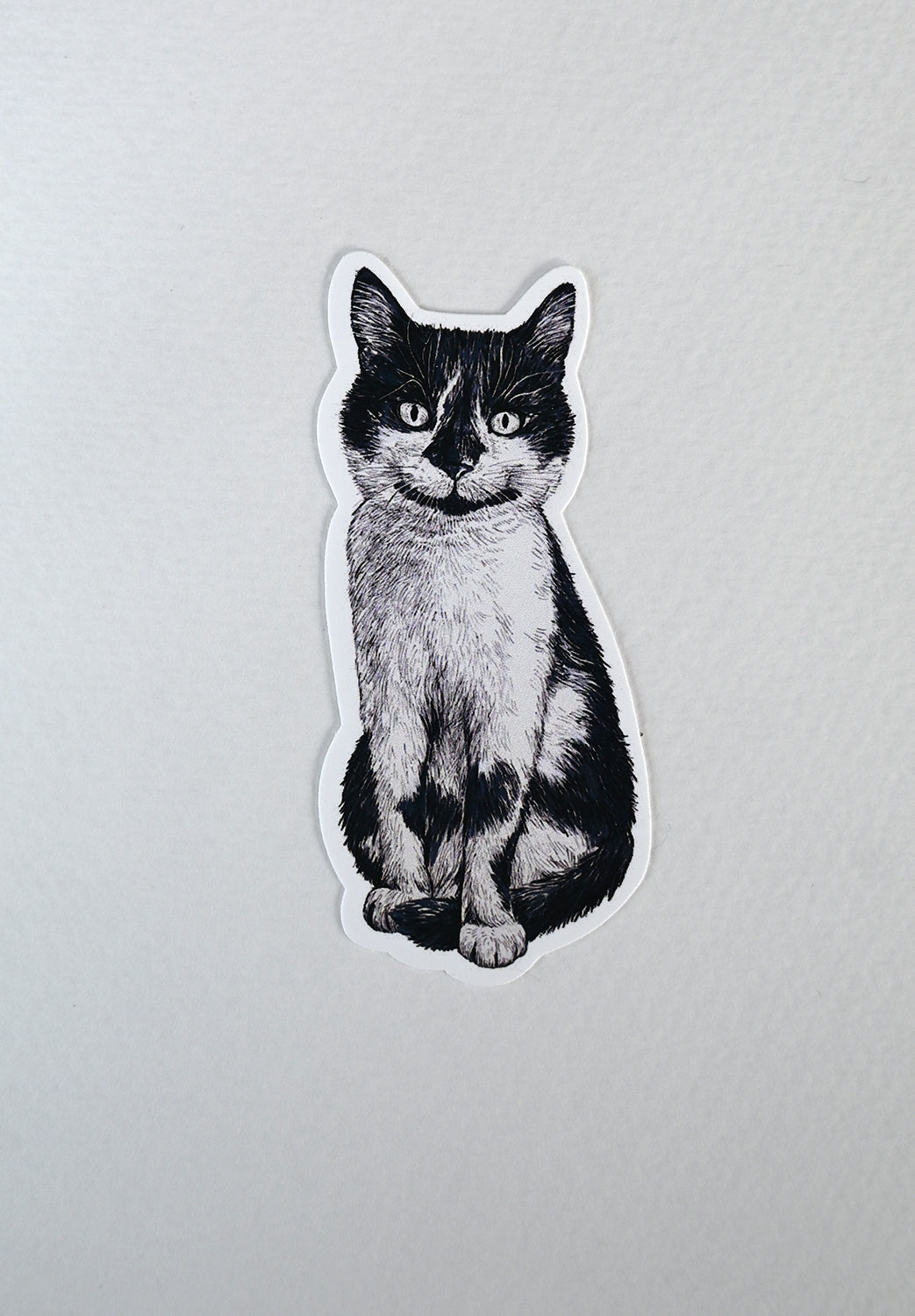 Sticker of a black and white cat on a white background