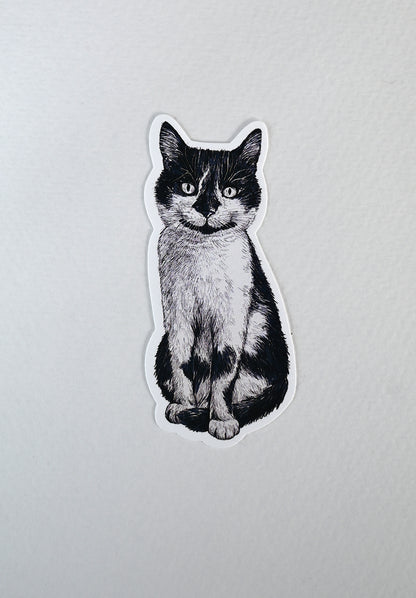 Sticker of a black and white cat on a white background