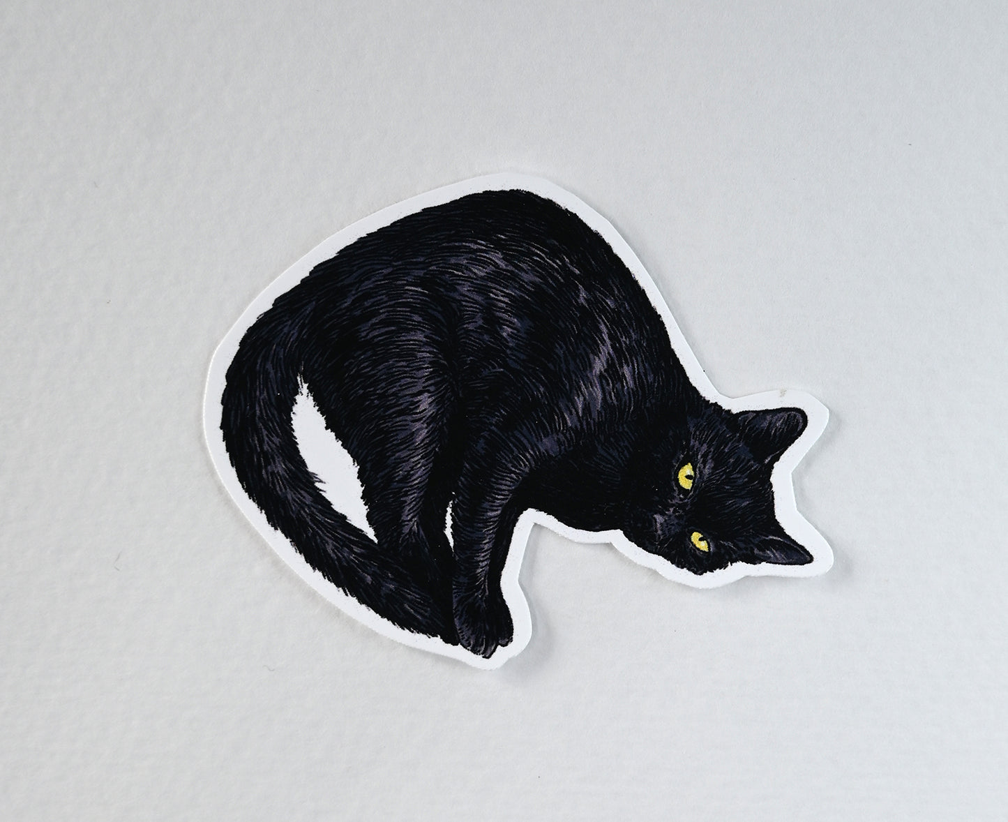 Black cat illustration on a white background