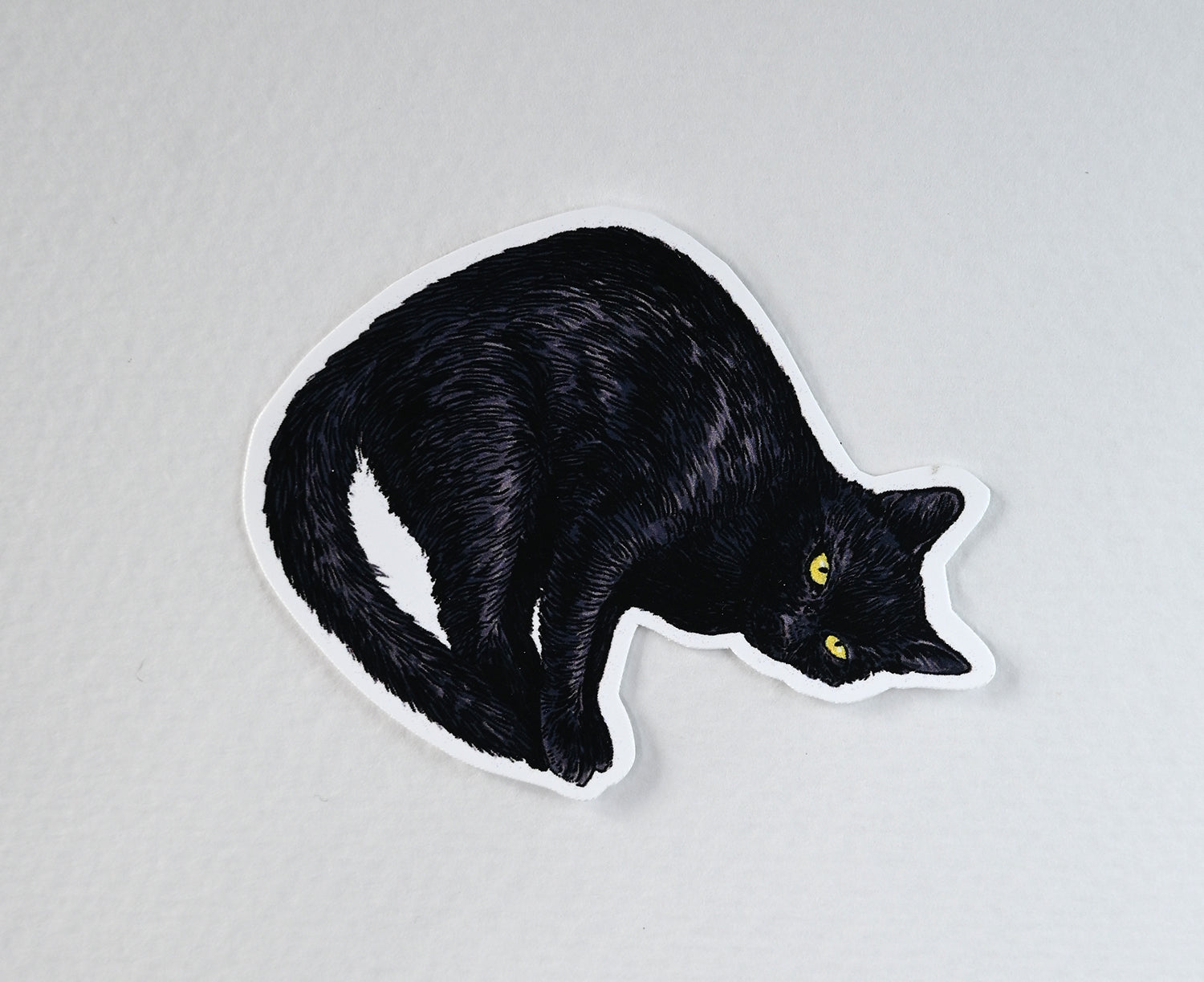 Black cat illustration on a white background