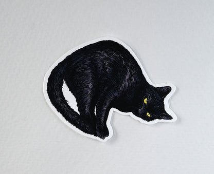 Black cat illustration on a white background