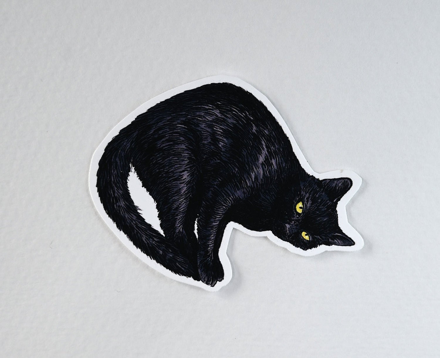 Cats vinyl stickers - katerinamitkova
