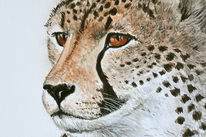 Cheetah 2 watercolor portrait - katerinamitkova