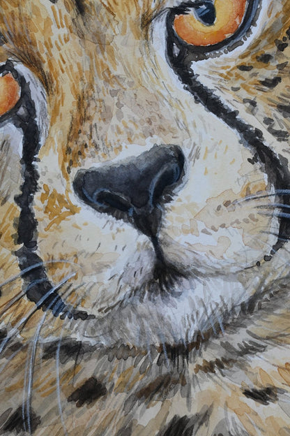 Cheetah watercolor portrait - katerinamitkova
