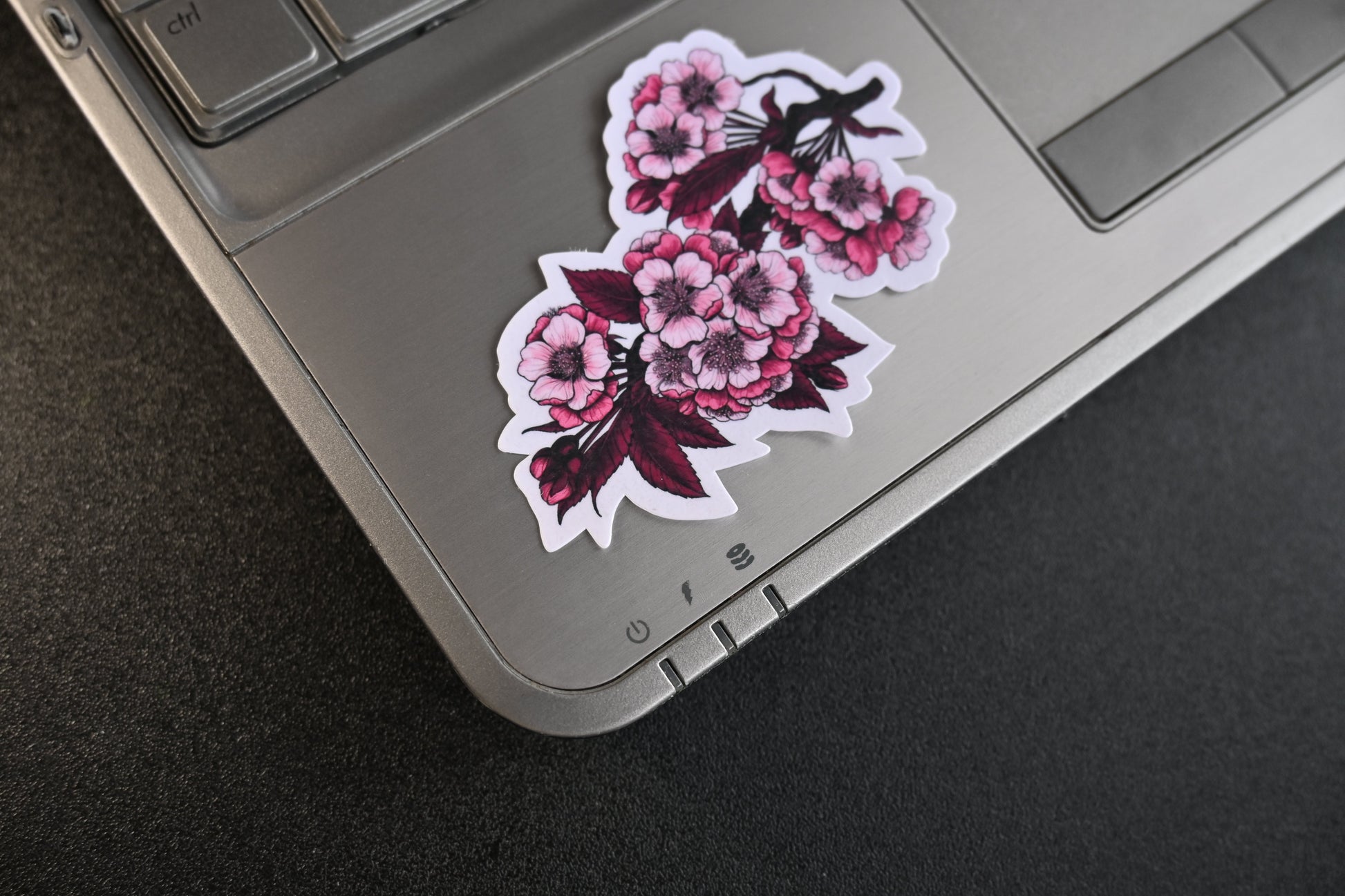 Cherry blossom branches journal stickers - katerinamitkova