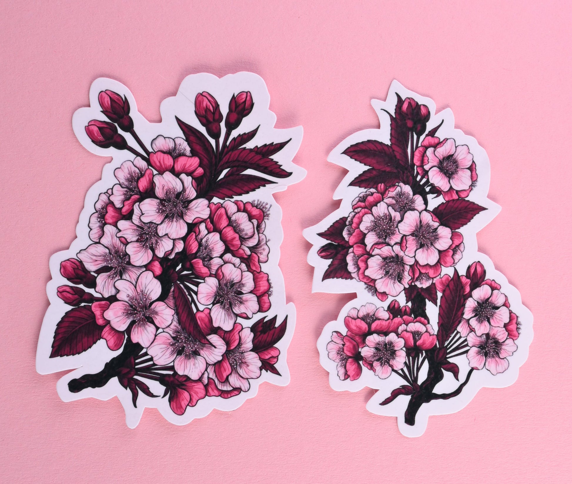 Cherry blossom branches journal stickers - katerinamitkova