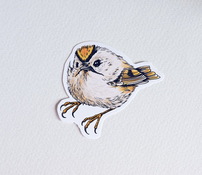 European Songbird Vinyl Stickers Robin, Wren, Nuthatch, Goldcrest, Hawfinch - katerinamitkova