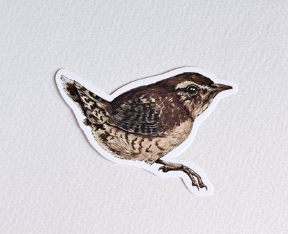 European Songbird Vinyl Stickers Robin, Wren, Nuthatch, Goldcrest, Hawfinch - katerinamitkova