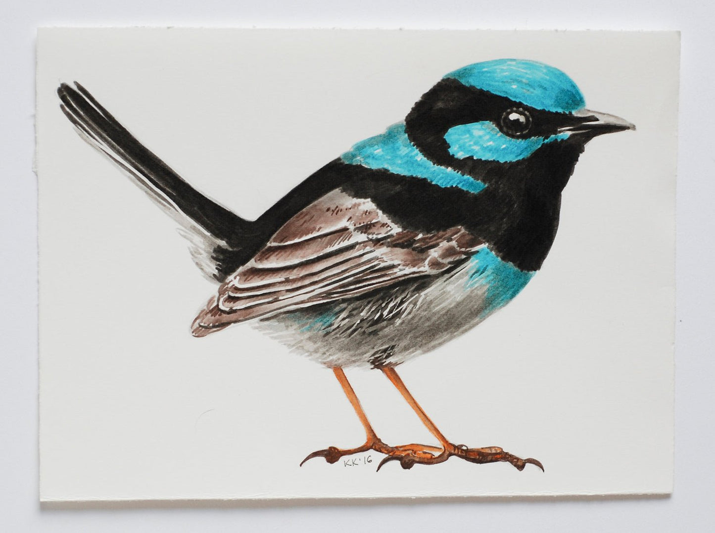 Fairy wren mini watercolor painting - katerinamitkova