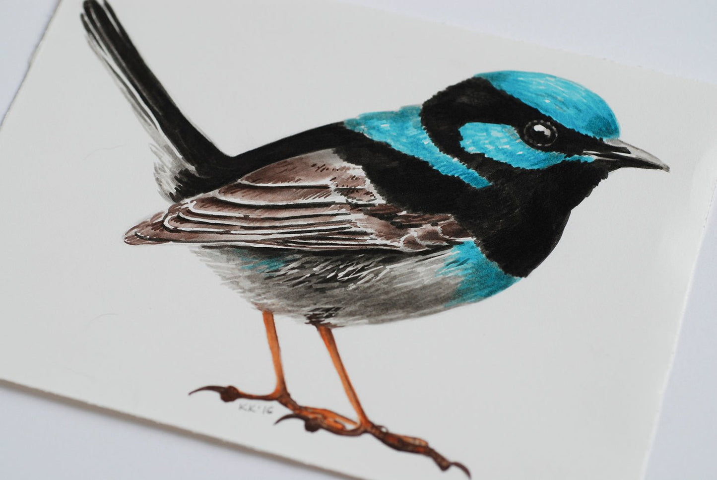 Fairy wren mini watercolor painting - katerinamitkova
