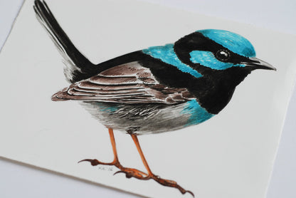 Fairy wren mini watercolor painting - katerinamitkova