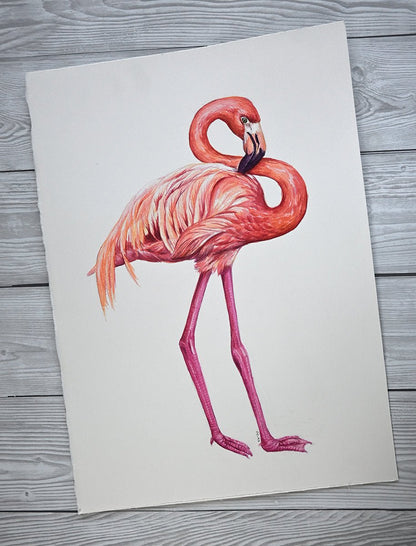 Flamingo 2, original watercolor painting - katerinamitkova