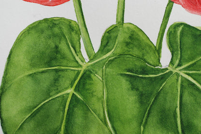 Flamingo flower watercolor painting - katerinamitkova