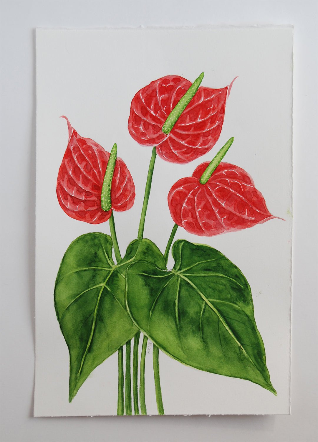 Flamingo flower watercolor painting - katerinamitkova