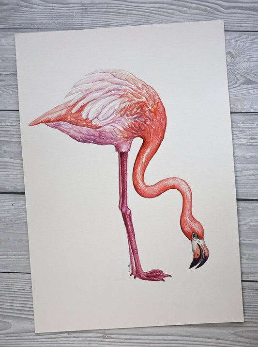 Flamingo, original watercolor painting - katerinamitkova