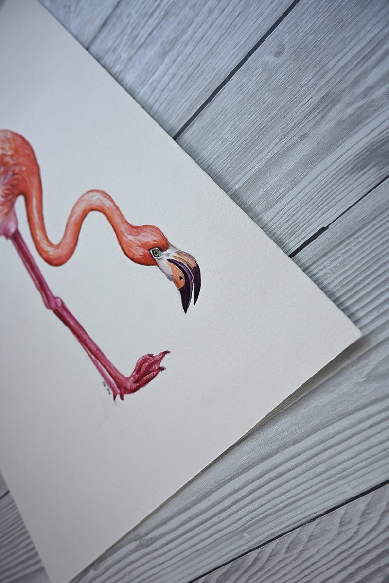 Flamingo, original watercolor painting - katerinamitkova