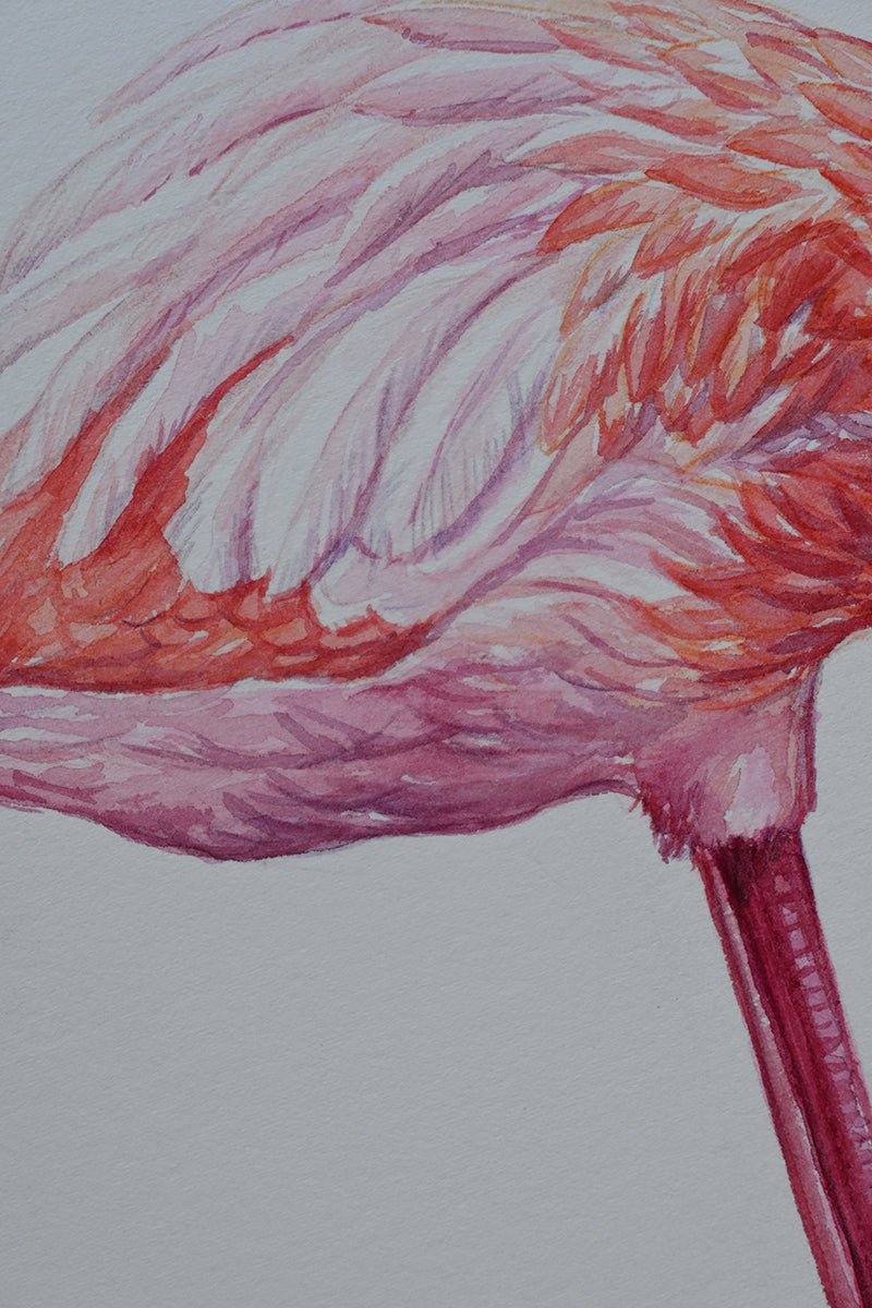 Flamingo, original watercolor painting - katerinamitkova
