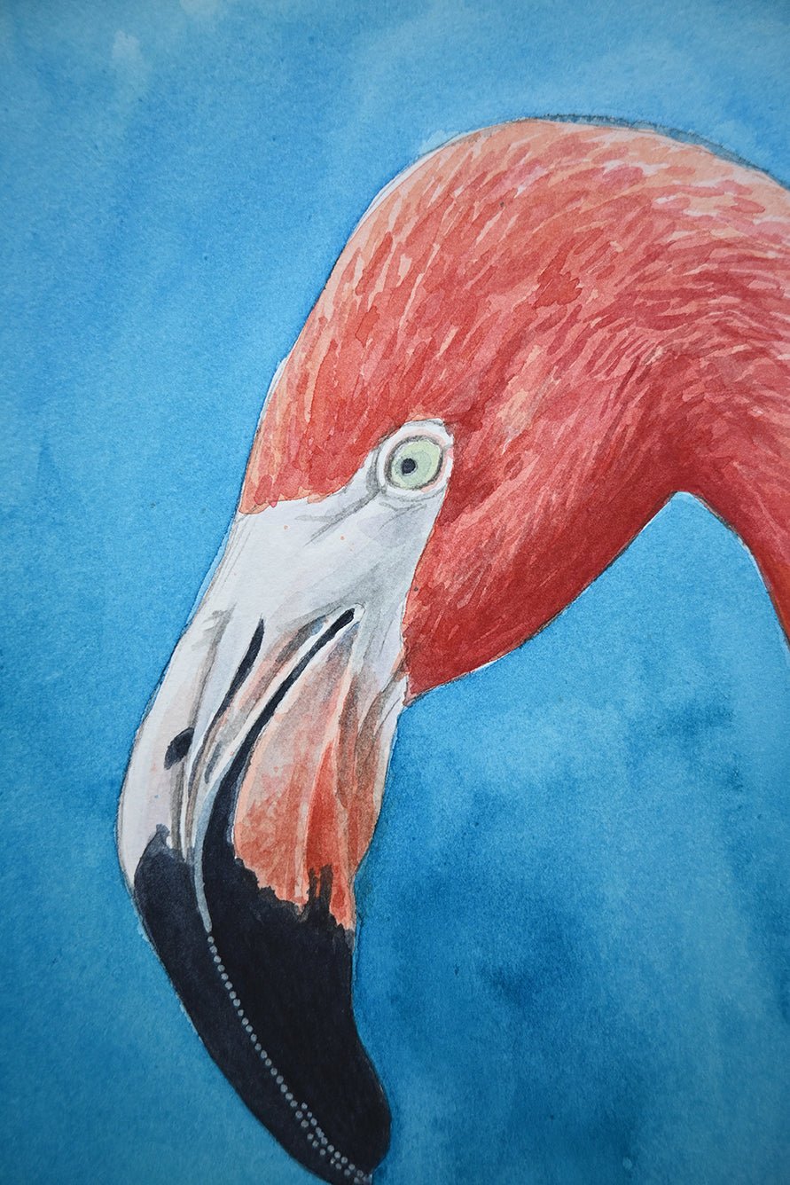 Flamingo portrait, original watercolor painting - katerinamitkova