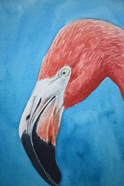 Flamingo portrait, original watercolor painting - katerinamitkova