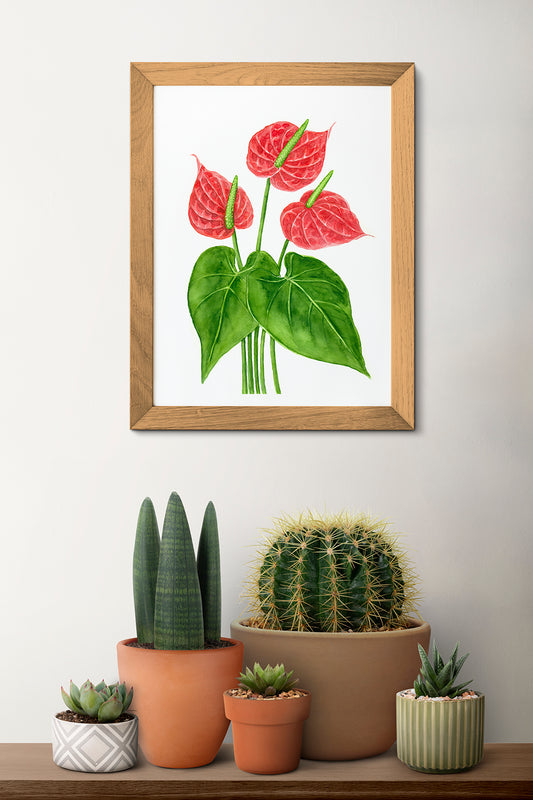 Framed flamingo flowers watercolor painting on a wall above a shelf with potted plants.