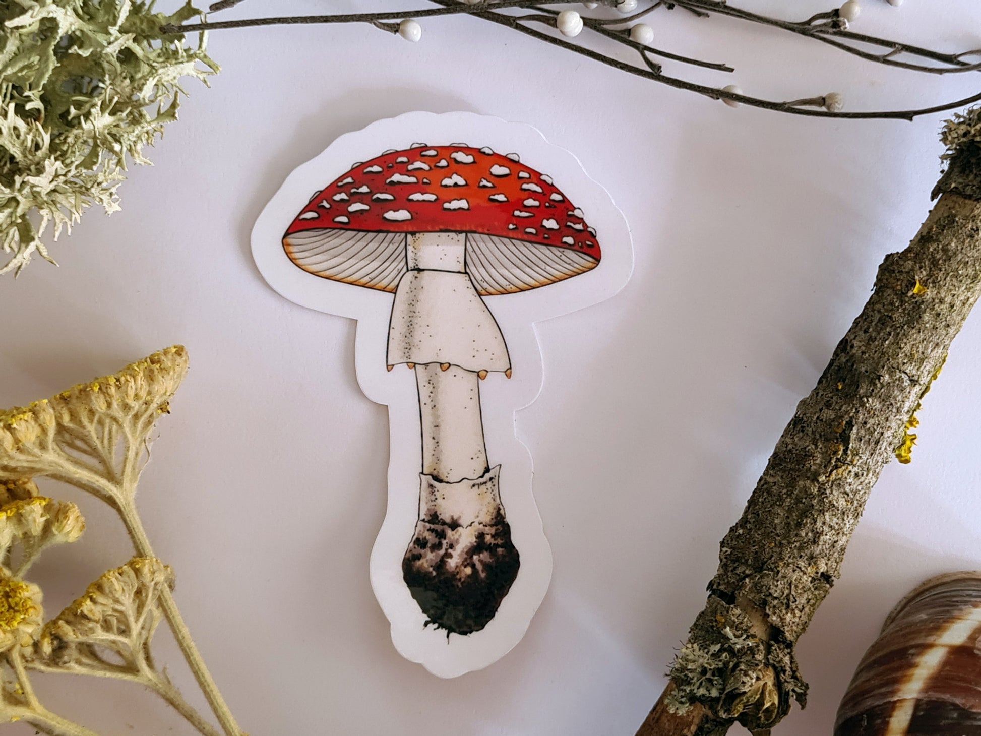 photo of a sticker featuring illustrated fly agaric mushroom