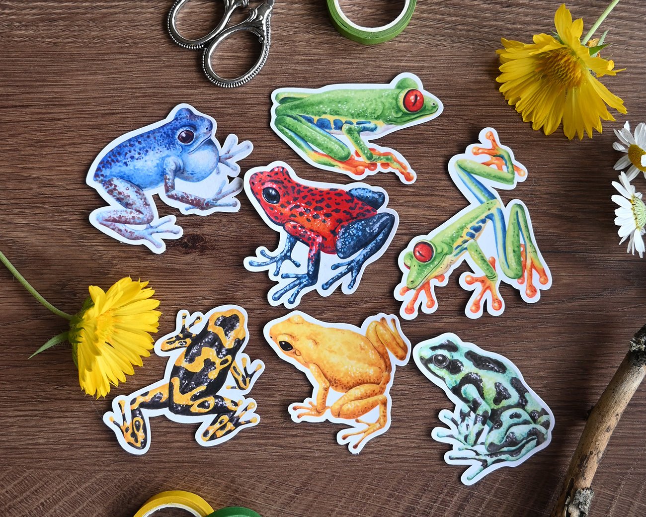 Frog stickers - katerinamitkova