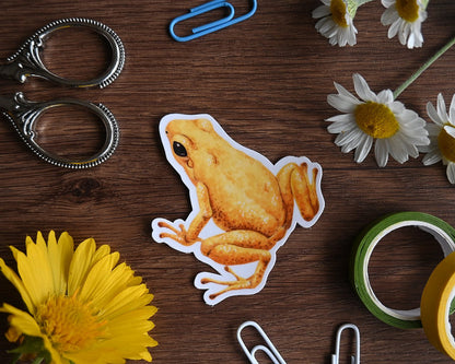 Frog stickers - katerinamitkova