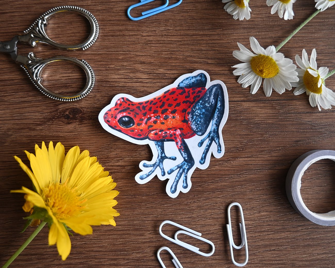 Frog stickers - katerinamitkova