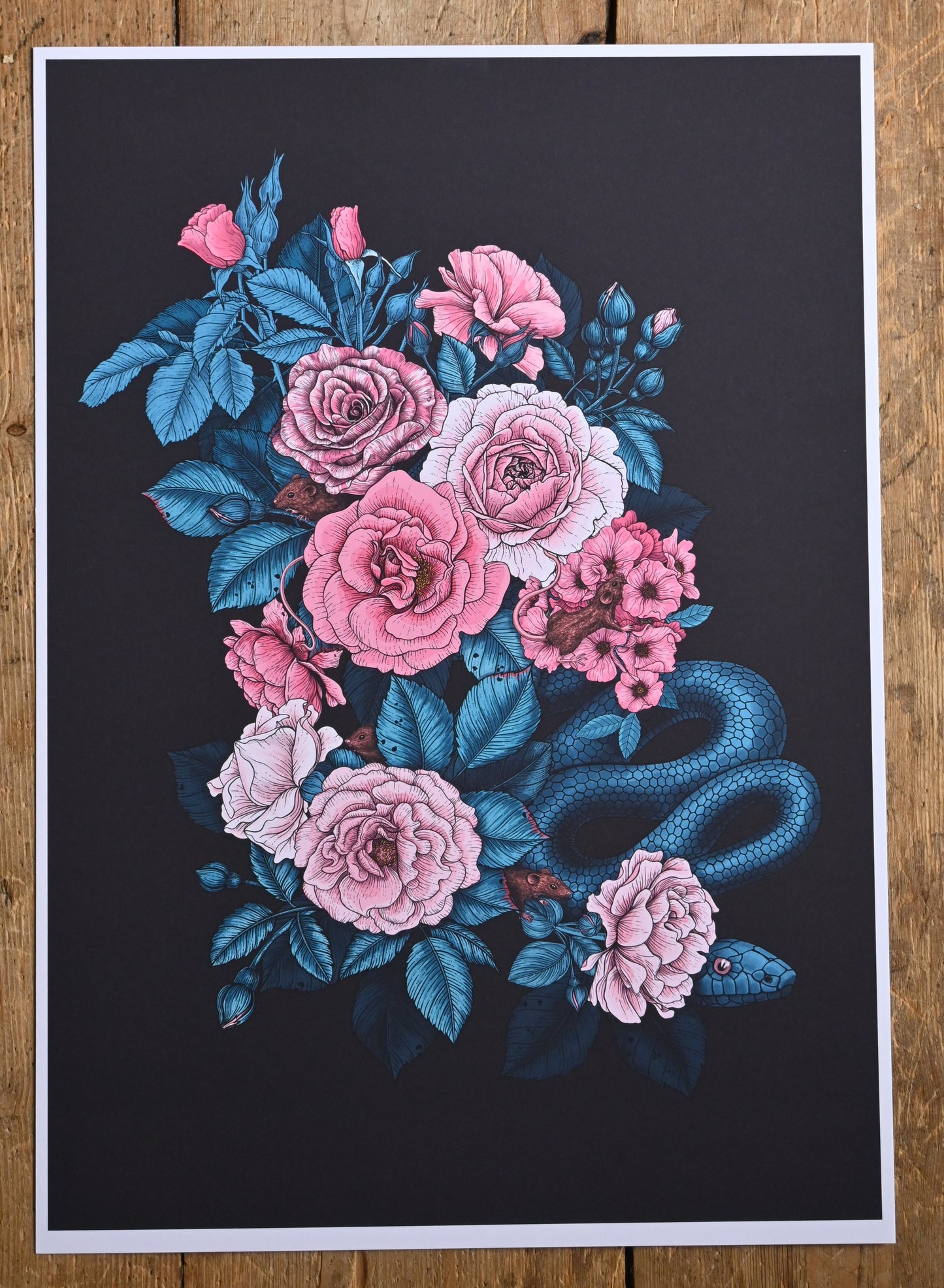 Hidden in the Roses art Print - katerinamitkova