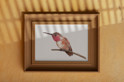 Hummingbird on a branch watercolor painting