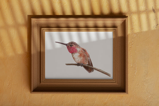 Hummingbird on a branch watercolor painting