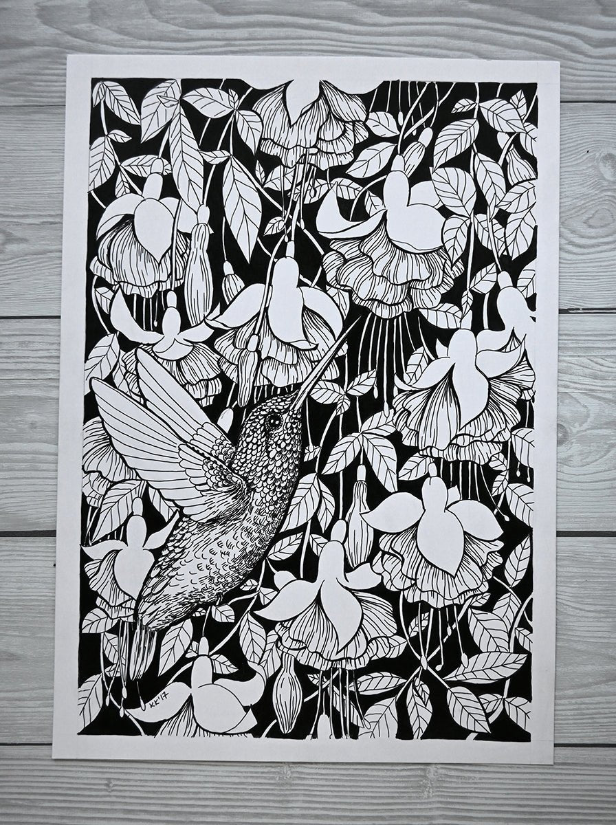 Hummingbird garden, ink drawing - katerinamitkova