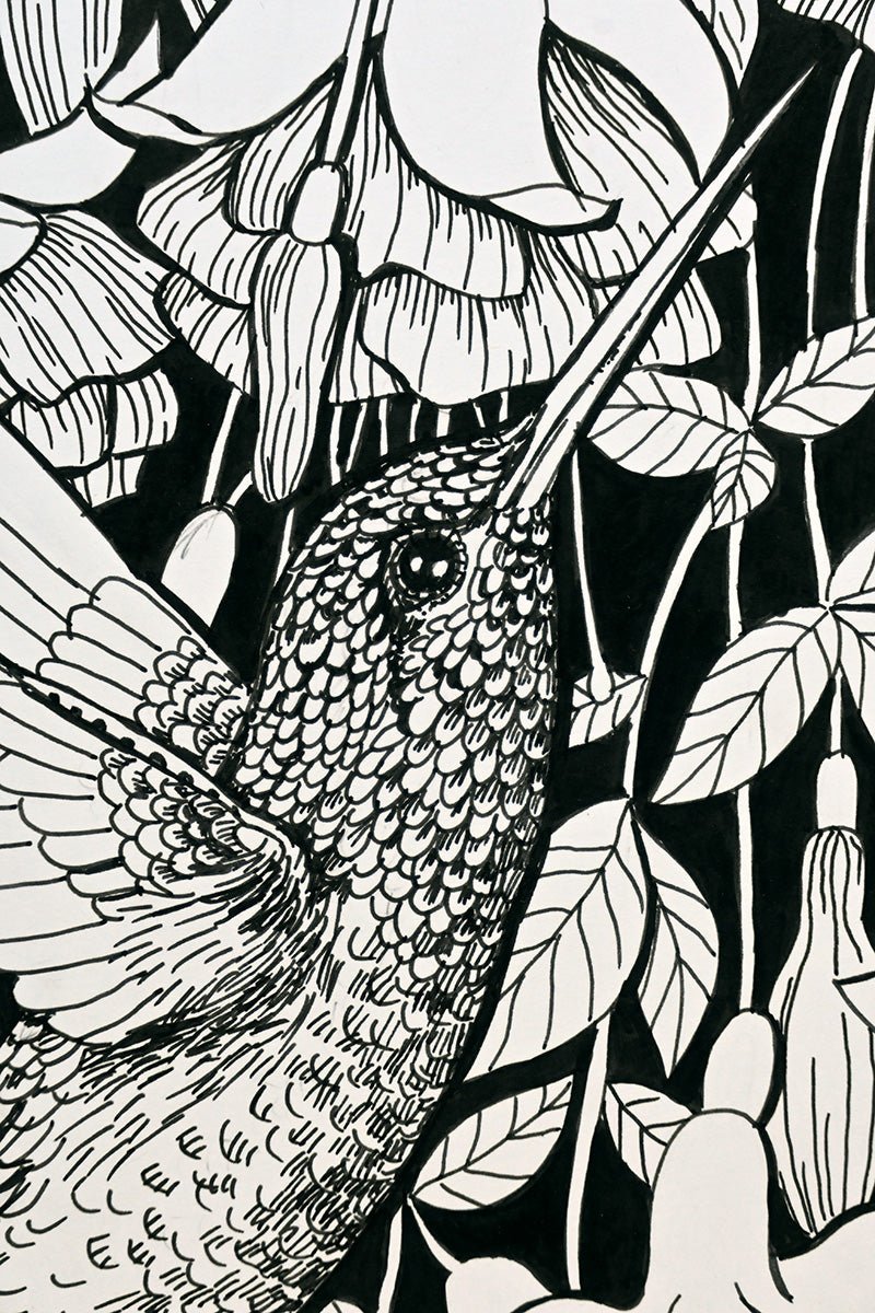 Hummingbird garden, ink drawing - katerinamitkova