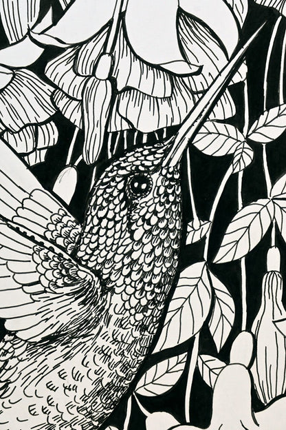Hummingbird garden, ink drawing - katerinamitkova